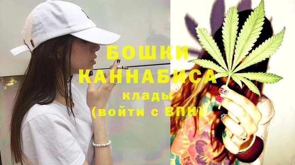 PSILOCYBIN Белокуриха